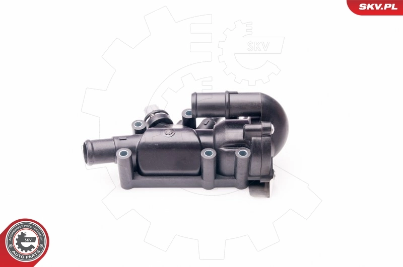 Термостат в зборі SKV 20SKV066