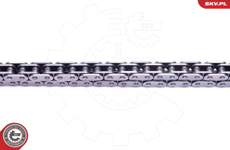 Ланцюг ГРМ, комплект SKV 21SKV141 ціна, від 128.39 USD