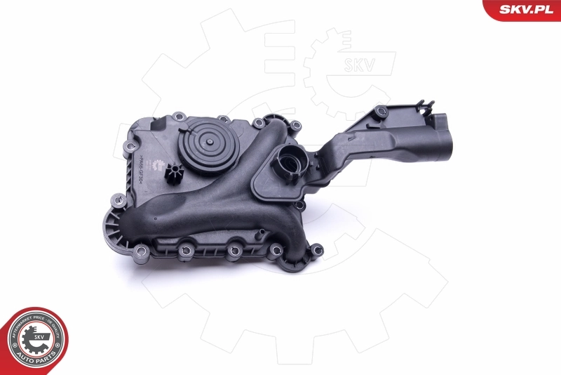 Клапан картерних газів SKV 31SKV160 ціна, від 74.87 USD