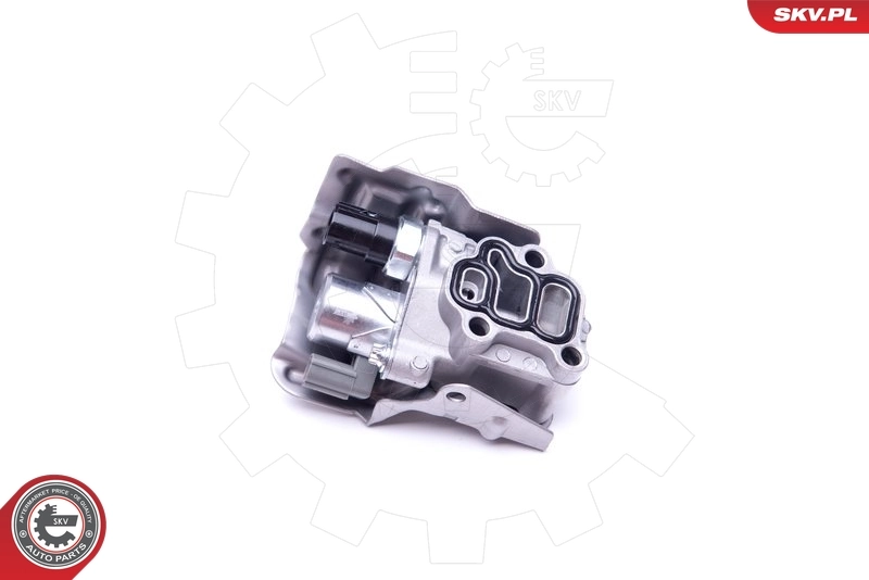 39SKV054 SKV Регулятор фаз газорозподілу