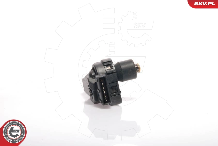 Регулятор дросельної заслінки 132008601 Bosch
