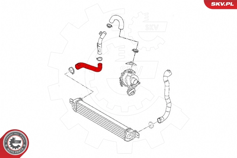  SKV 43SKV300 ціна, від 48.53 USD