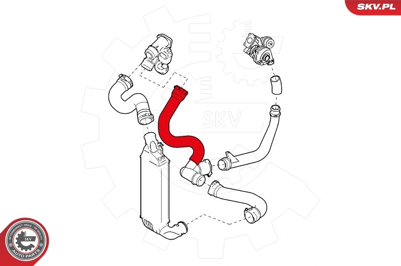 Купити 1491443080 Fiat/Alfa/Lancia 