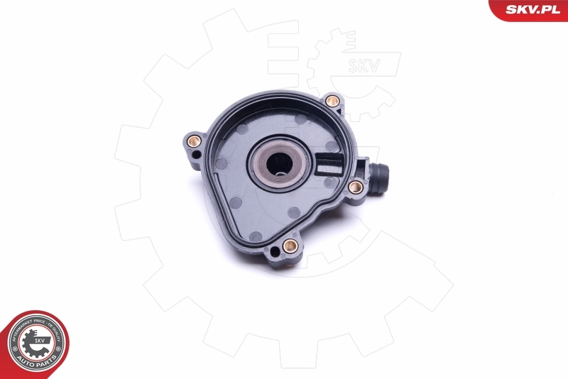 Клапан картерних газів SKV 31SKV151 ціна, від 11.20 USD