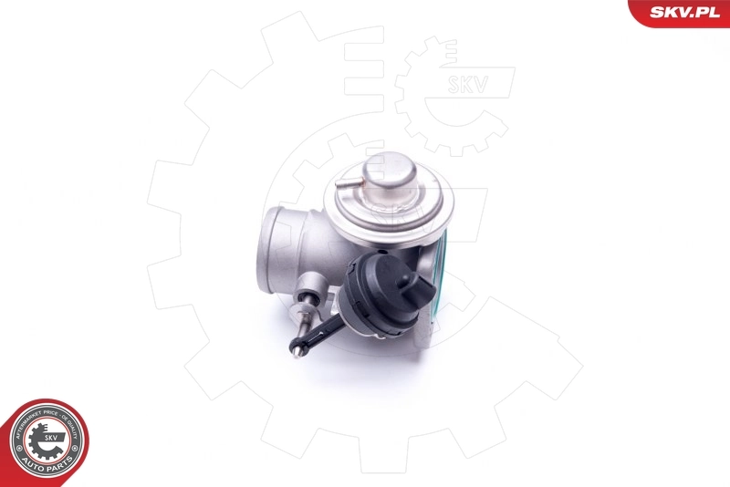Клапан EGR SKV 14SKV107 ціна, від 46.96 USD