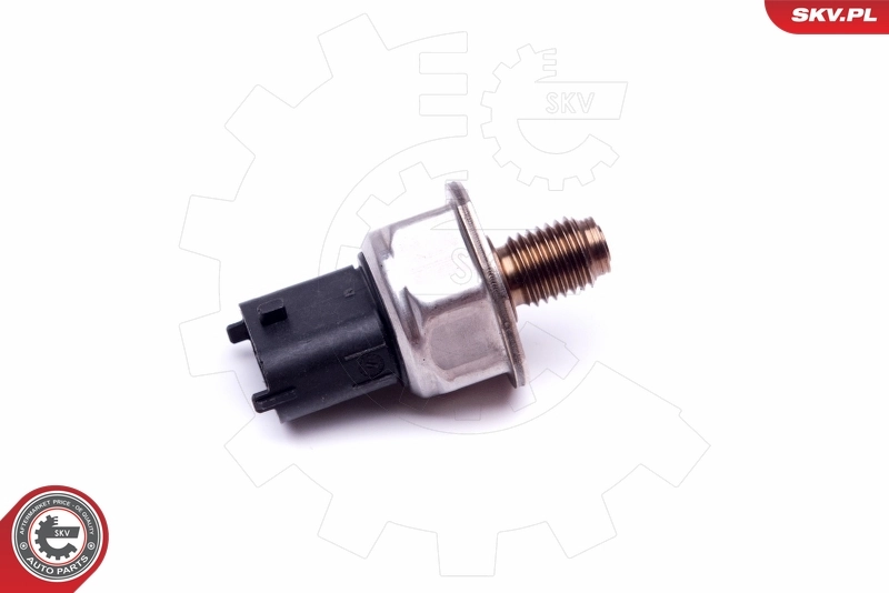 17SKV596 SKV Манометри