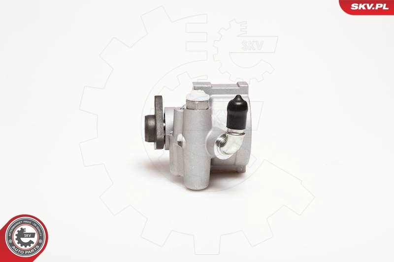 Насос ГПК SKV 10SKV003 ціна, від 44.48 USD