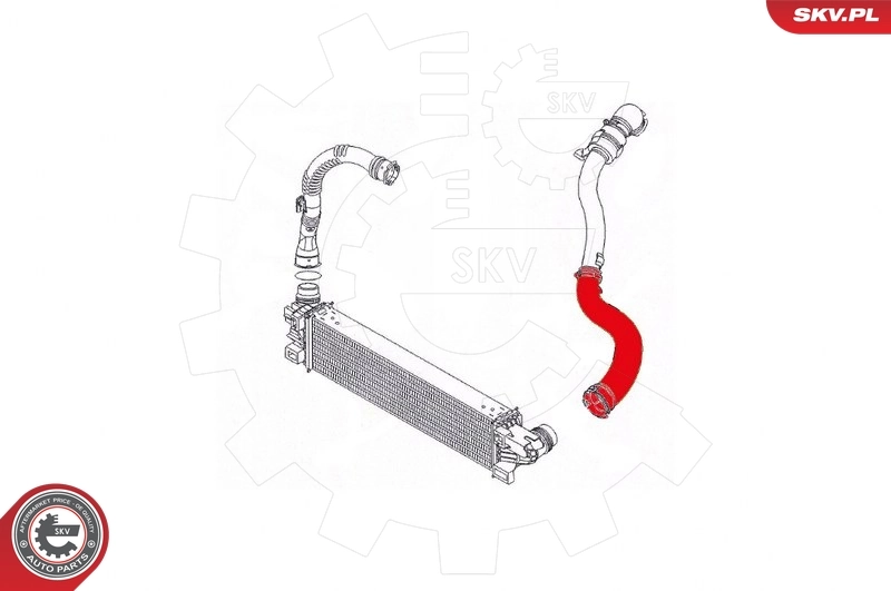 Купити 24SKV796 SKV Шланг/патрубок интеркуллера