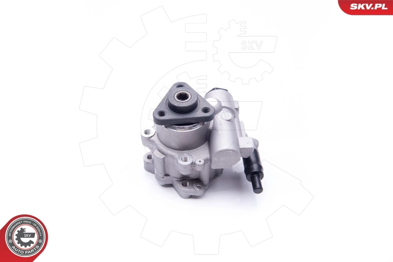 10SKV196 SKV Насос гідропідсилювача