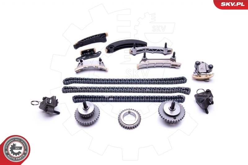 12600461 Peugeot/Citroen Заспокоювач ланцюга ГРМ, лівий