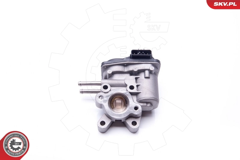14SKV103 SKV Клапан рециркуляції відпрацьованих газів EGR