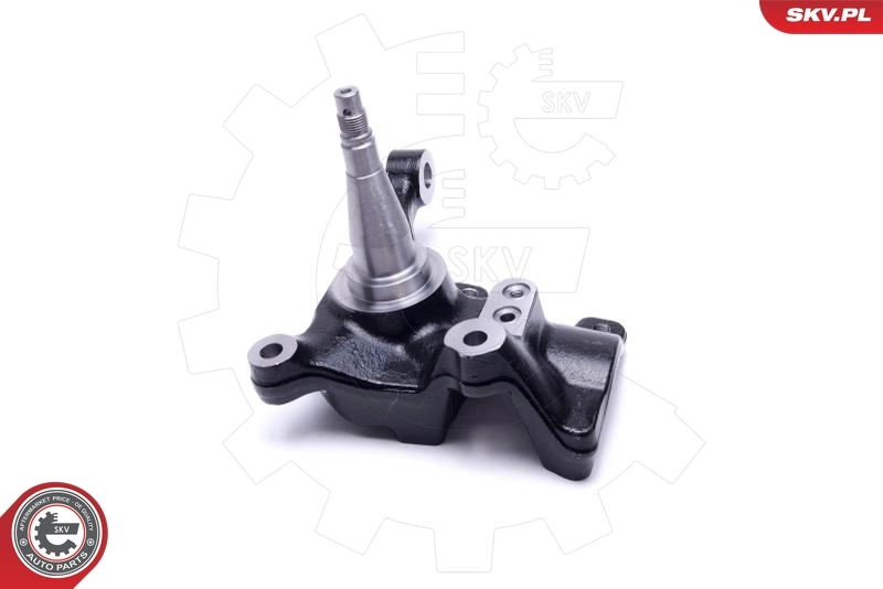 Цапфа поворотного кулака SKV 47SKV781 ціна, від 89.17 USD