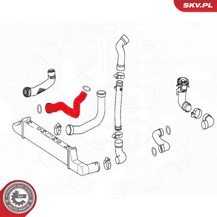 Купити 43SKV434 SKV Шланг/патрубок интеркуллера
