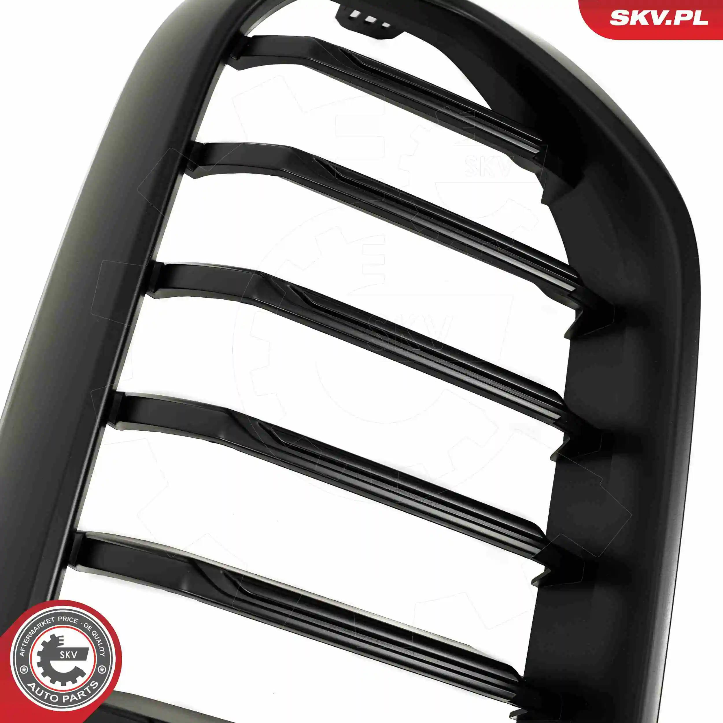 Решітка радіатора 66SKV202 SKV