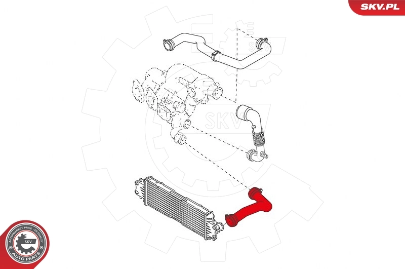 Шланг/патрубок интеркуллера SKV 43SKV092 ціна, від 28.07 USD