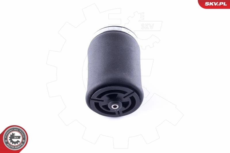 Пневморессора задня SKV 58SKV001 ціна, від 72.42 USD