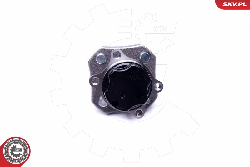 Маточини задніх коліс SKV 29SKV384 ціна, від 52.64 USD