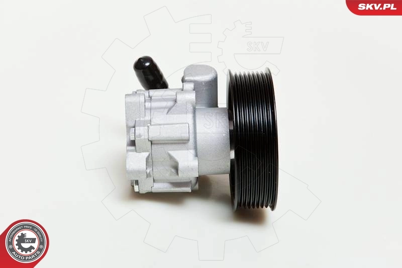 Купити 10SKV039 SKV Насос гідравліки