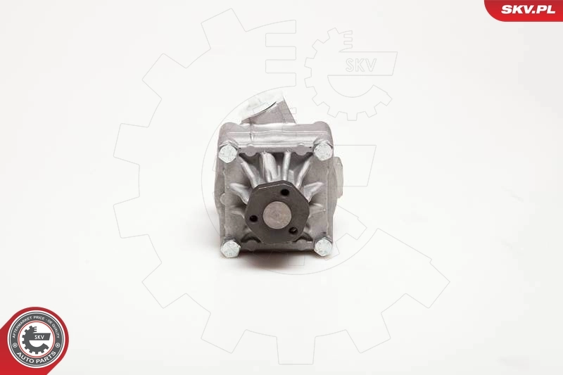 Насос ГУР 10SKV017 SKV
