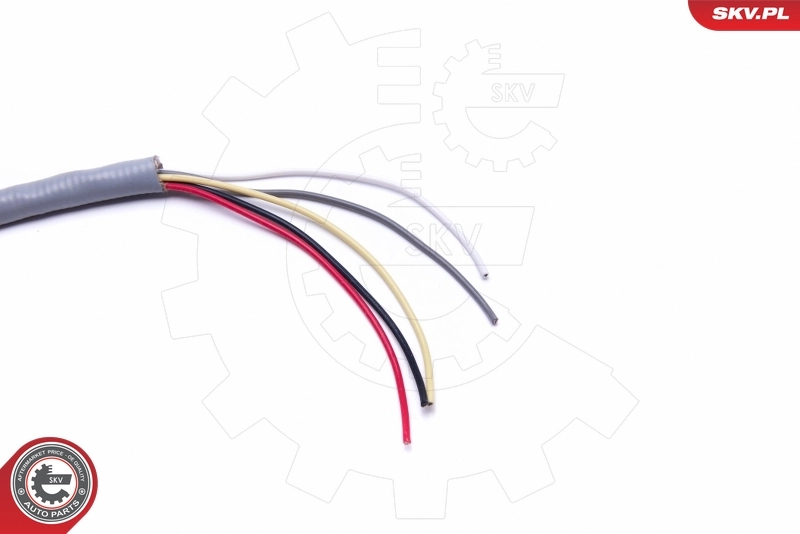 Купити 09SKV915 SKV 