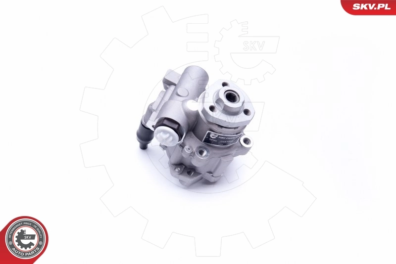 Насос ГУР 10SKV256 SKV