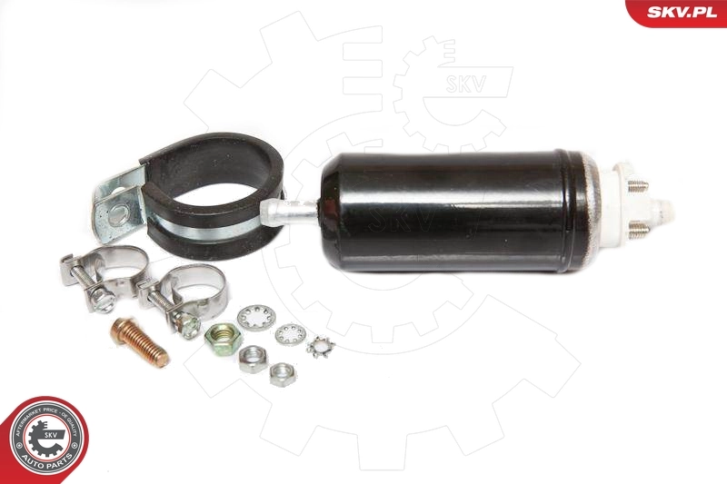 Паливний насос магістральний Renault (RVI) 6001021735 ціна, від 49.27 USD