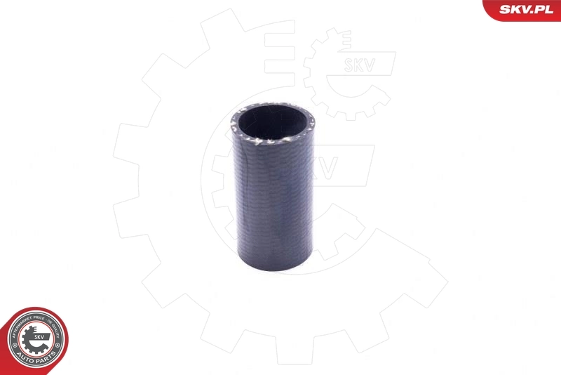  SKV 43SKV488 ціна, від 38.67 USD