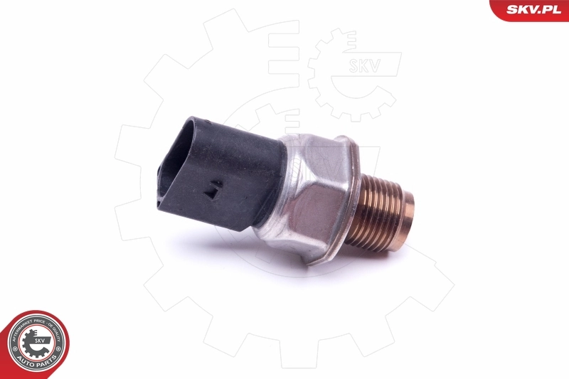 17SKV590 SKV Манометри