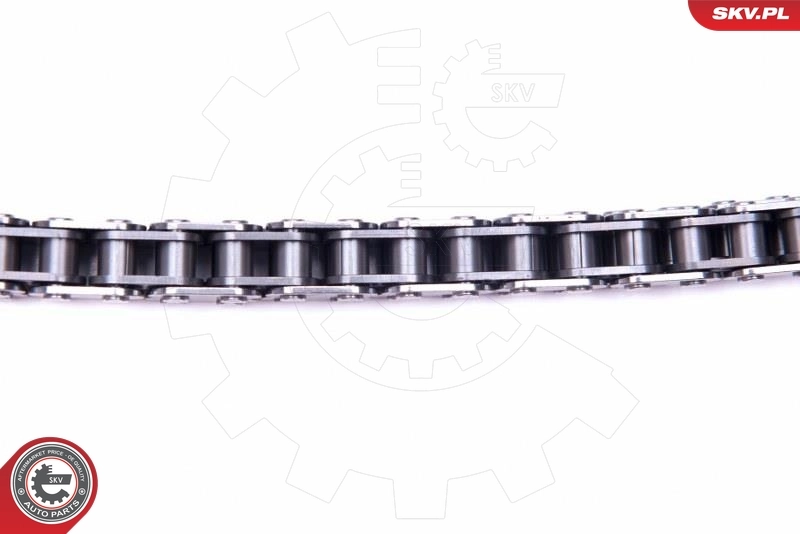Ланцюг ГРМ, комплект SKV 21SKV110 ціна, від 183.08 USD