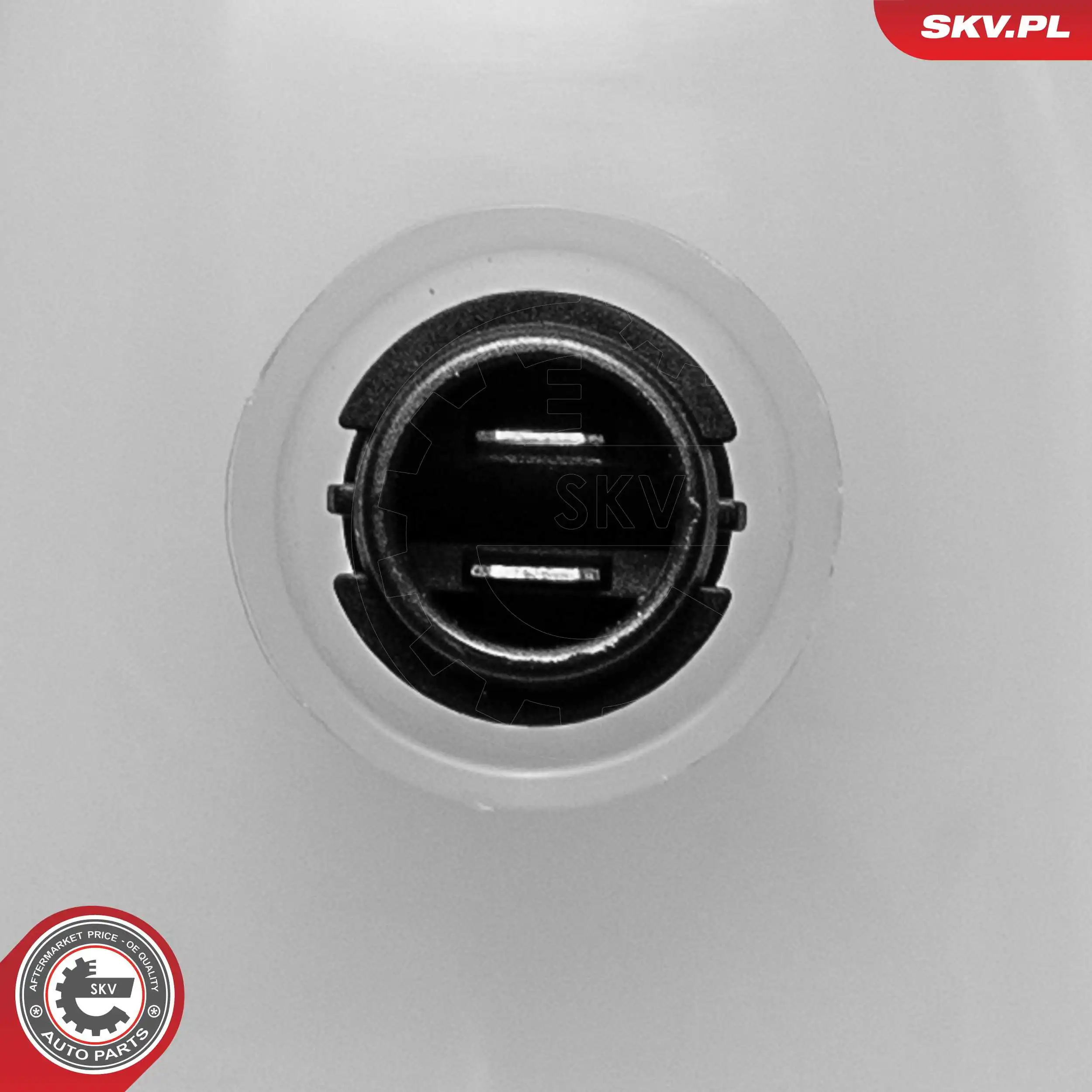Бачок системи охолодження 61SKV317 SKV
