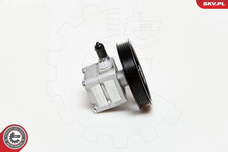 10SKV177 SKV Насос гідропідсилювача