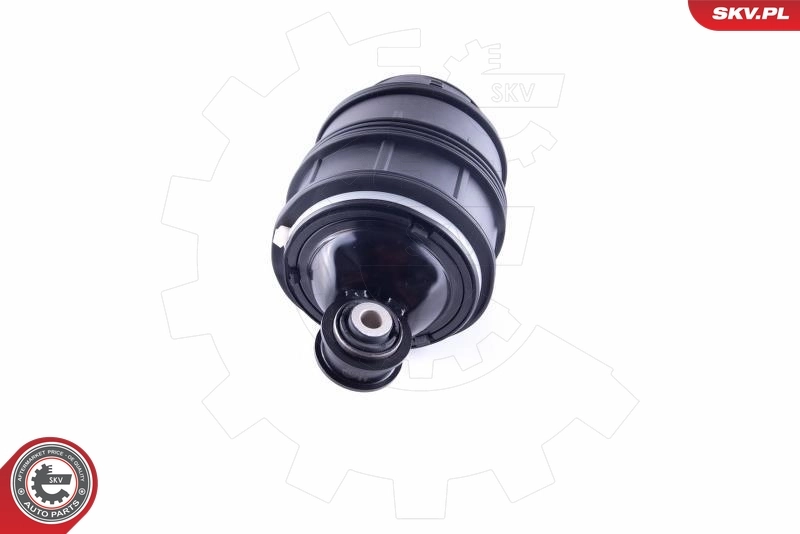 Пневморессора задня SKV 58SKV019 ціна, від 202.20 USD