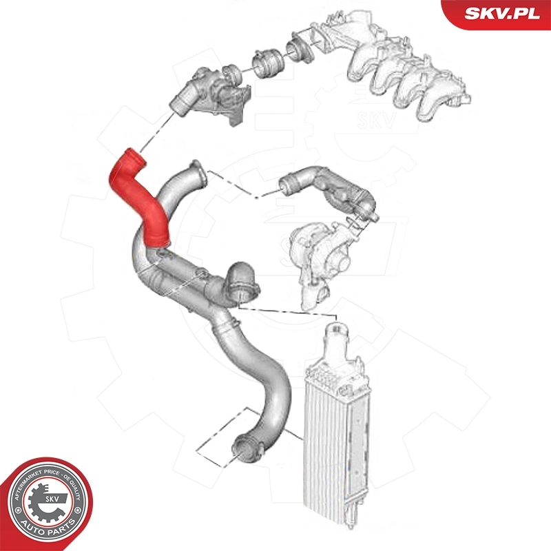 Купити 24SKV563 SKV Шланг/патрубок интеркуллера