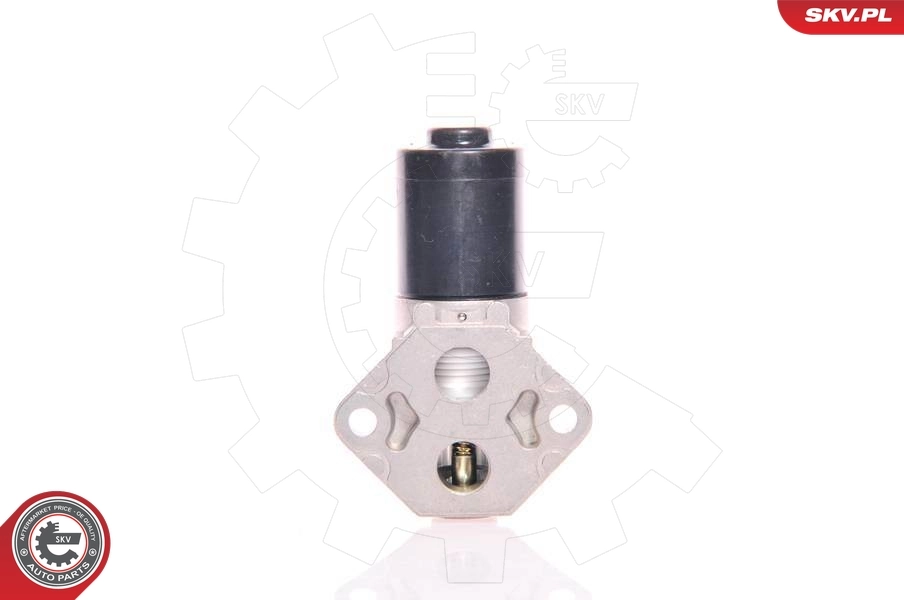 Клапан холостого ходу SKV 08SKV222 ціна, від 42.13 USD