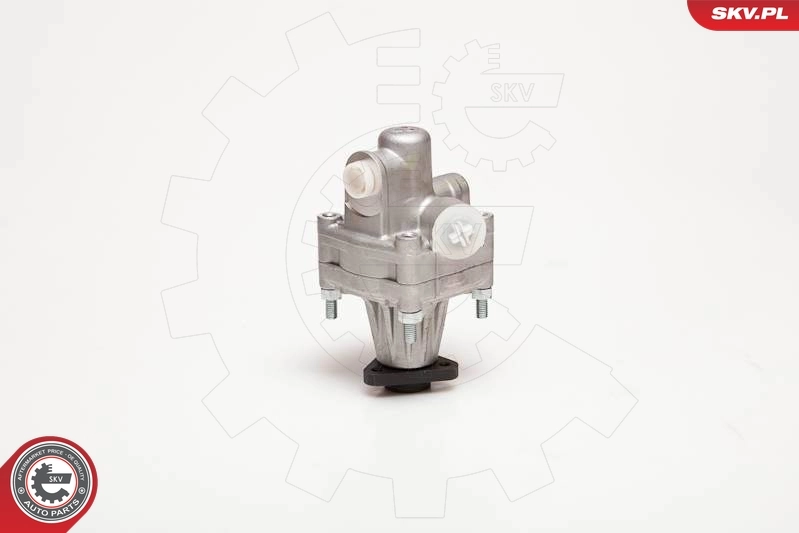 Насос ГУР 10SKV005 SKV