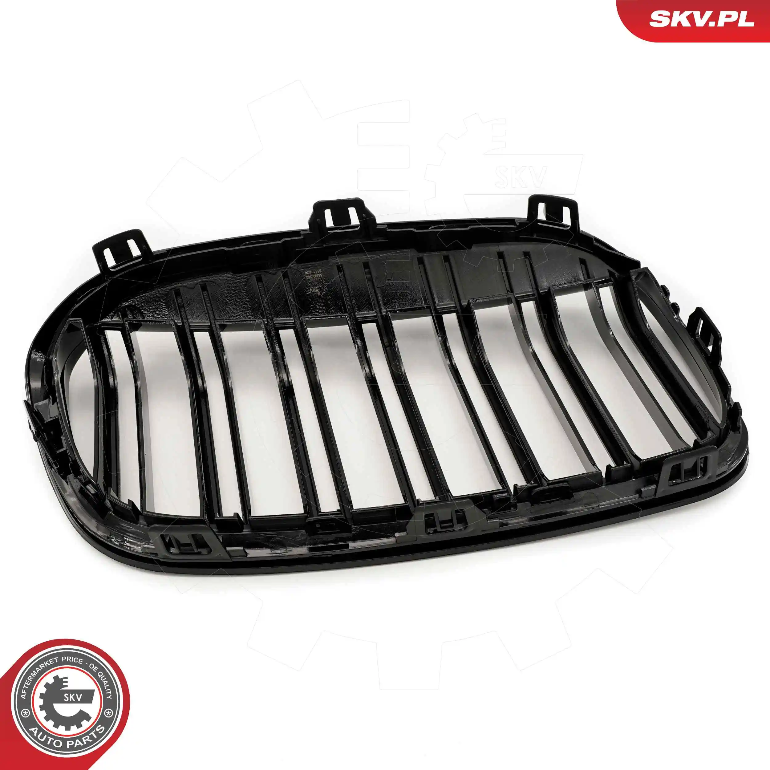 Купити 51135A3CE47 BMW Решітка радіатора ліва