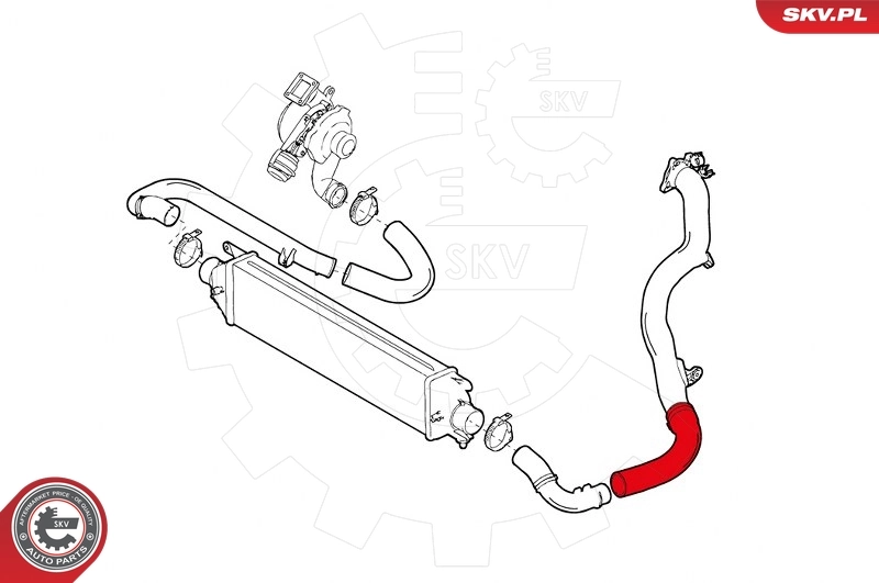 Шланг/патрубок интеркуллера 51821514 Fiat/Alfa/Lancia