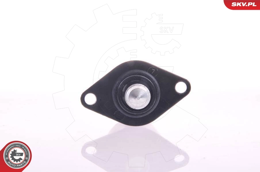 Клапан холостого ходу SKV 08SKV040 ціна, від 10.59 USD