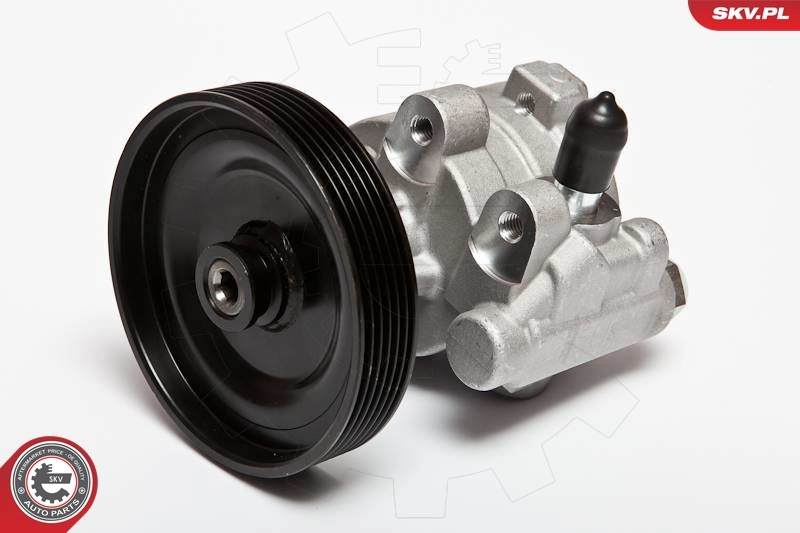 Купити P1159 Motorherz Насос гідравліки