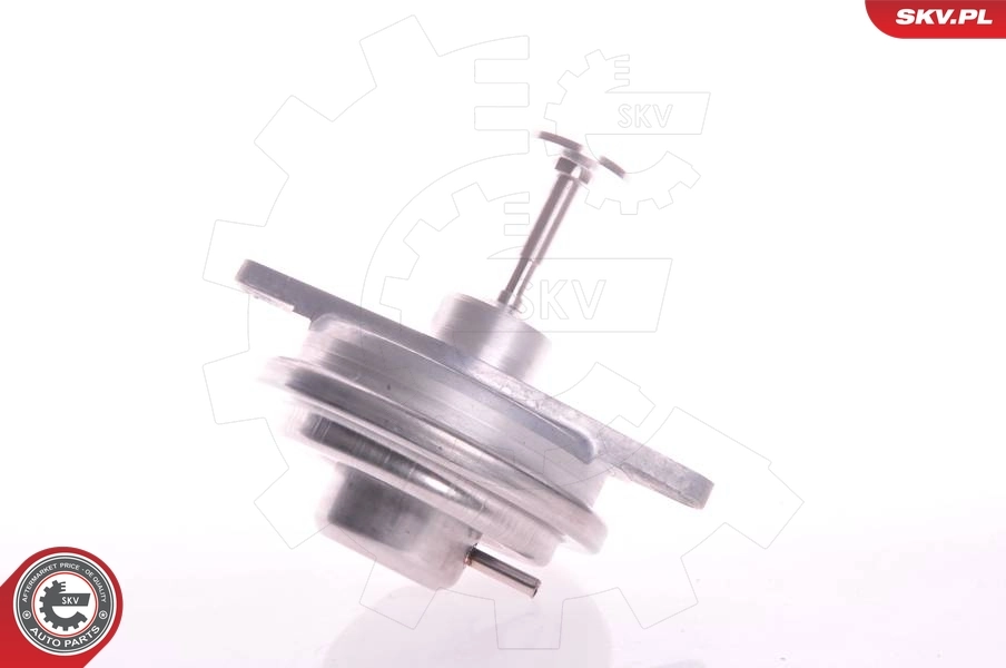 14SKV022 SKV Клапан рециркуляції відпрацьованих газів EGR