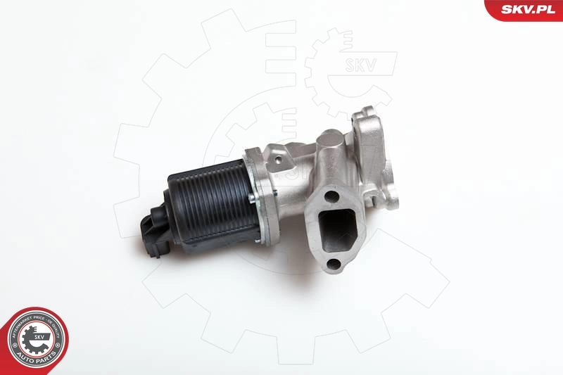 Клапан EGR Fiat/Alfa/Lancia 71793037 ціна, від 56.86 USD