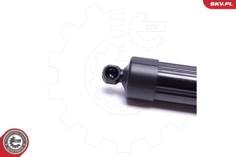 Амортизатор кришки багажника Toyota 6891079015