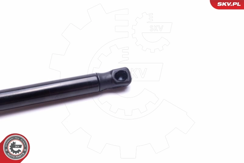 Амортизатор двері задньої Ford 2171131 ціна, від 7.79 USD