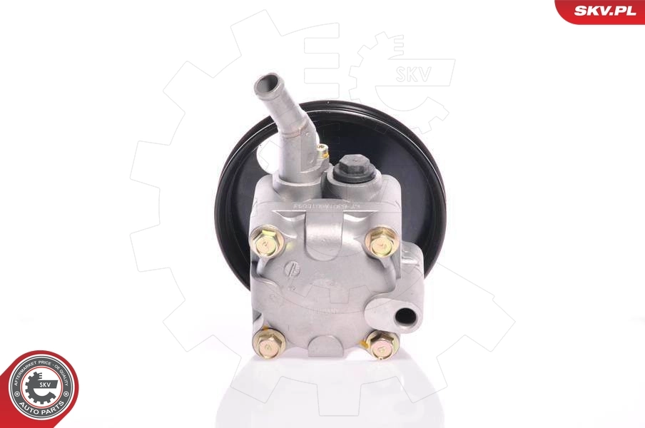 Купити 10SKV127 SKV Насос гідравліки