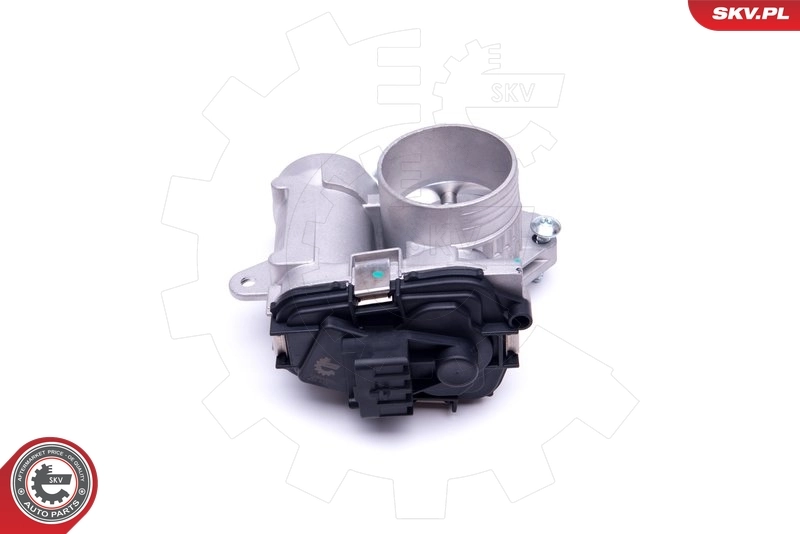 Купити Дросільна заслінка Peugeot 206  2A/C