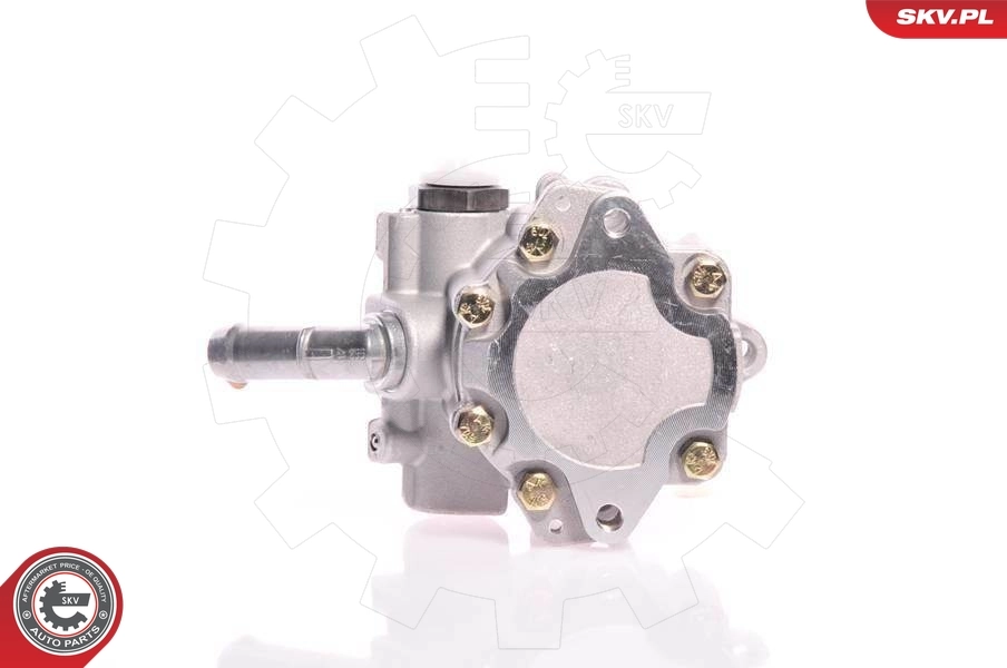 Насос ГУР 10SKV165 SKV