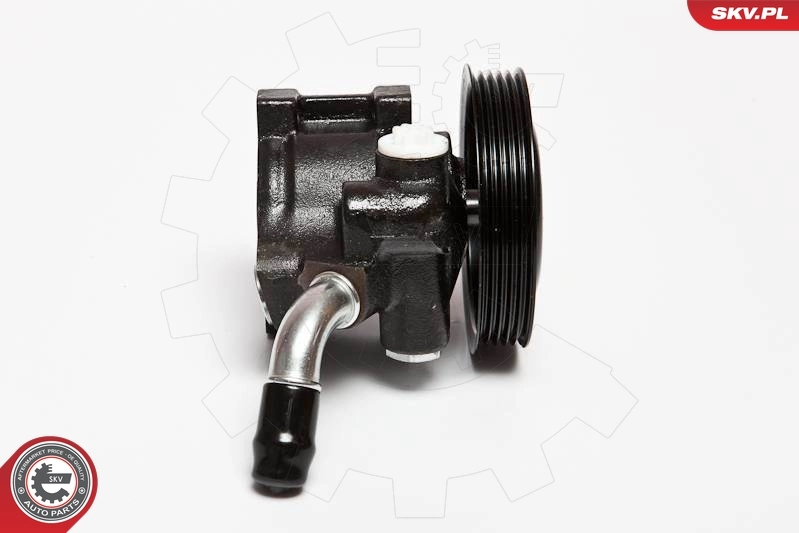 Купити 10SKV065 SKV Насос гідравліки