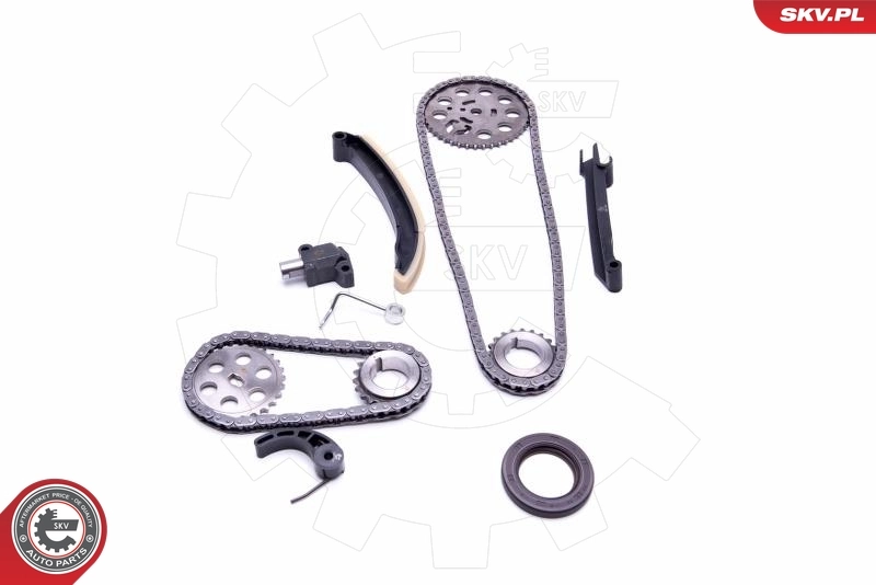 Купити 70663SET Iwis Комплект ланцюга ГРМ