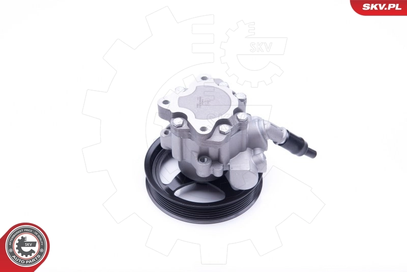 Купити 10SKV266 SKV Насос гідравліки