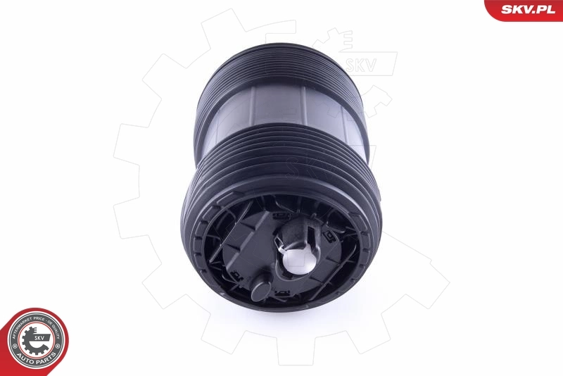 Пневморессора задня SKV 58SKV032 ціна, від 171.07 USD